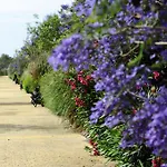 Appartement Benahavis Estepona