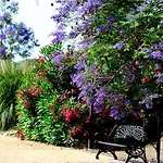 Appartement Benahavis Estepona