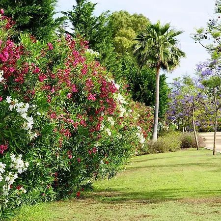 Apartment Benahavis Апартаменты