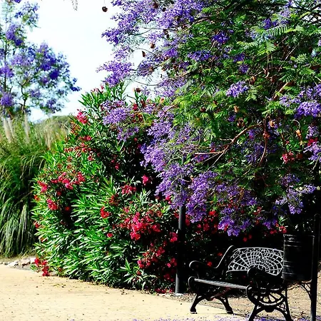 Апартаменты Apartment Benahavis Эстепона