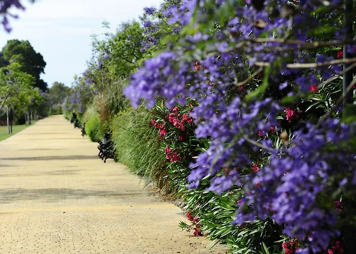 Апартаменти Benahavis Естепона