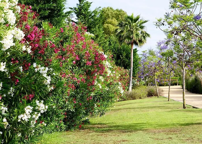 Benahavis Апартаменти