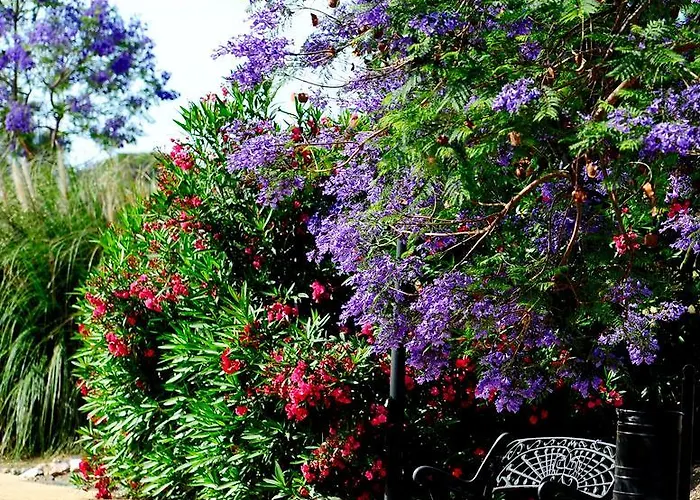 Appartement Benahavis Estepona